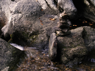 Illustration for article titled Shooting Challenge Fall Leaves Gallery 7
